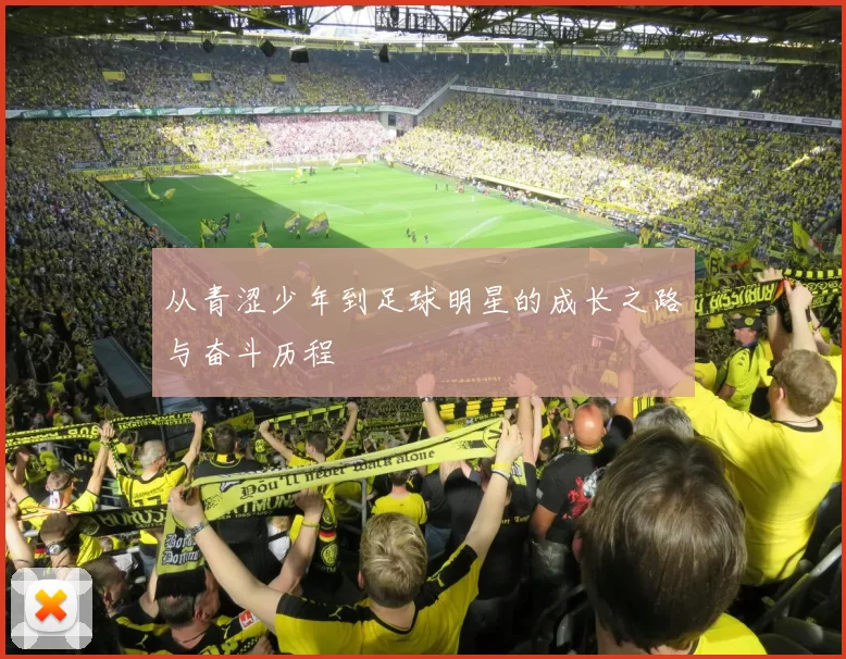 从青涩少年到足球明星的成长之路与奋斗历程