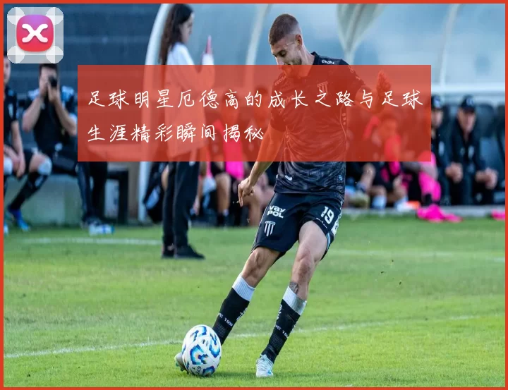 足球明星厄德高的成长之路与足球生涯精彩瞬间揭秘