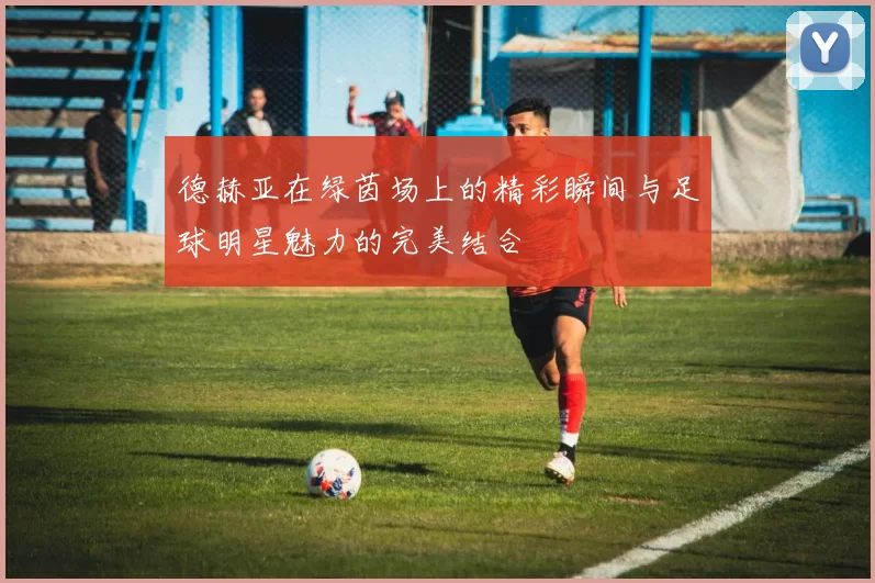 德赫亚在绿茵场上的精彩瞬间与足球明星魅力的完美结合