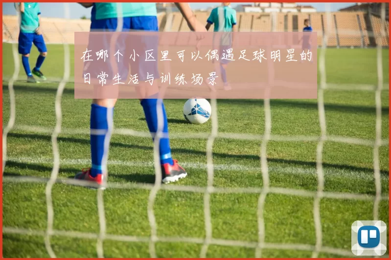 在哪个小区里可以偶遇足球明星的日常生活与训练场景