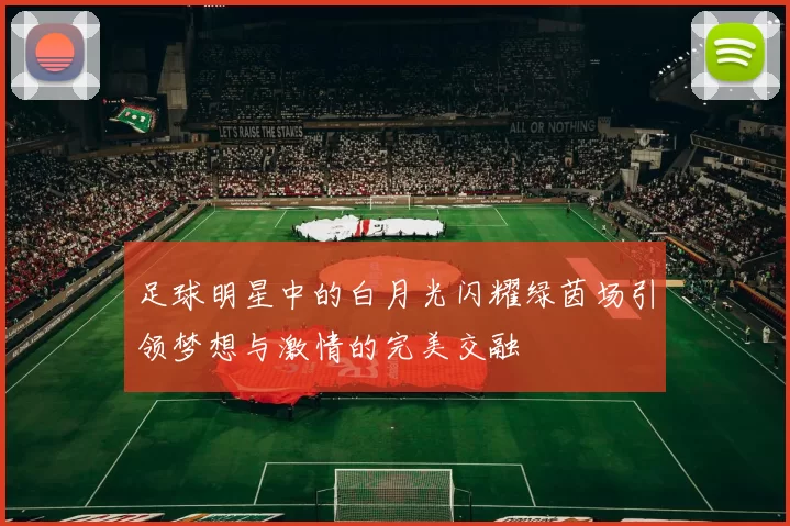 足球明星中的白月光闪耀绿茵场引领梦想与激情的完美交融
