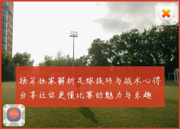 杨芳独家解析足球技巧与战术心得分享让你更懂比赛的魅力与乐趣