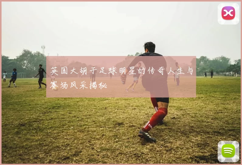 英国大胡子足球明星的传奇人生与赛场风采揭秘