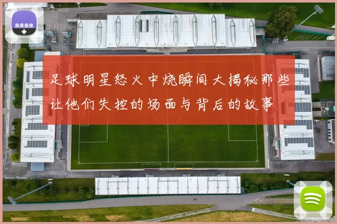足球明星怒火中烧瞬间大揭秘那些让他们失控的场面与背后的故事