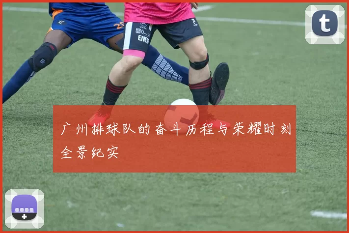 广州排球队的奋斗历程与荣耀时刻全景纪实