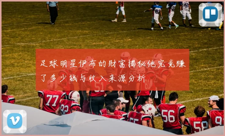 足球明星伊布的财富揭秘他究竟赚了多少钱与收入来源分析