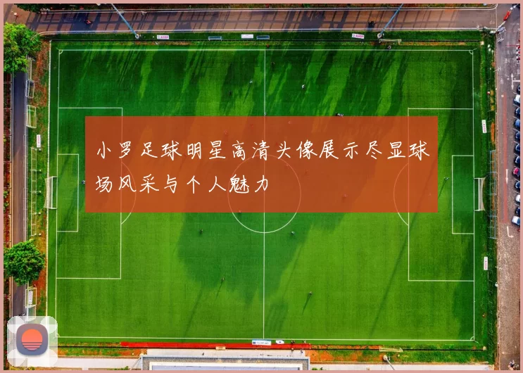 小罗足球明星高清头像展示尽显球场风采与个人魅力