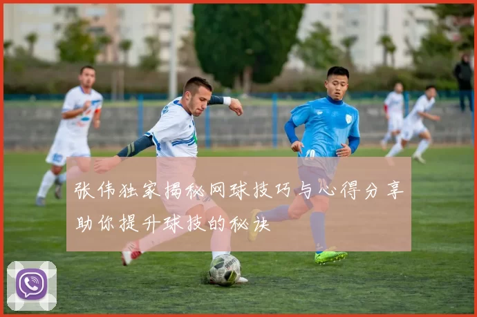 张伟独家揭秘网球技巧与心得分享助你提升球技的秘诀