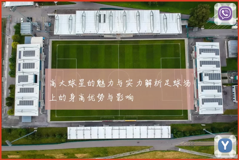 高大球星的魅力与实力解析足球场上的身高优势与影响