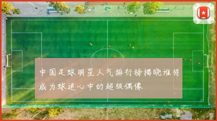 中国足球明星人气排行榜揭晓谁将成为球迷心中的超级偶像