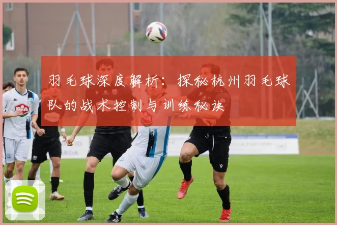 羽毛球深度解析：探秘杭州羽毛球队的战术控制与训练秘诀