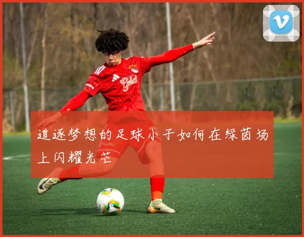 追逐梦想的足球小子如何在绿茵场上闪耀光芒