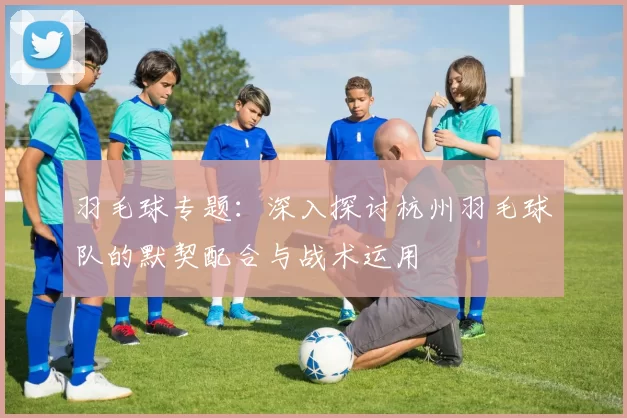 羽毛球专题：深入探讨杭州羽毛球队的默契配合与战术运用
