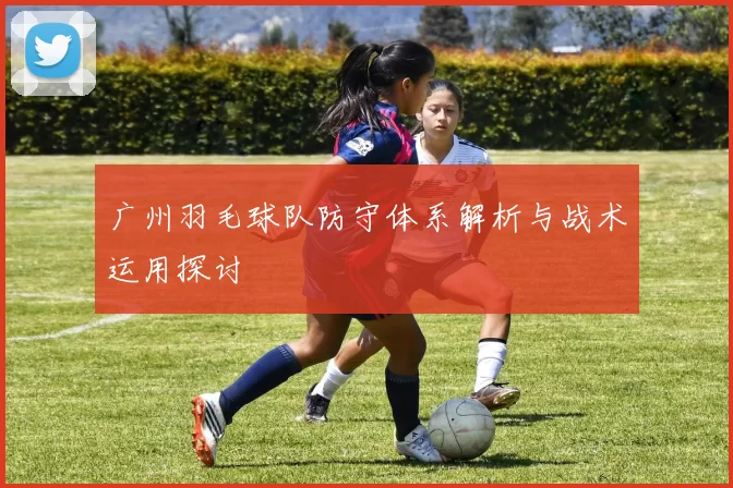 广州羽毛球队防守体系解析与战术运用探讨